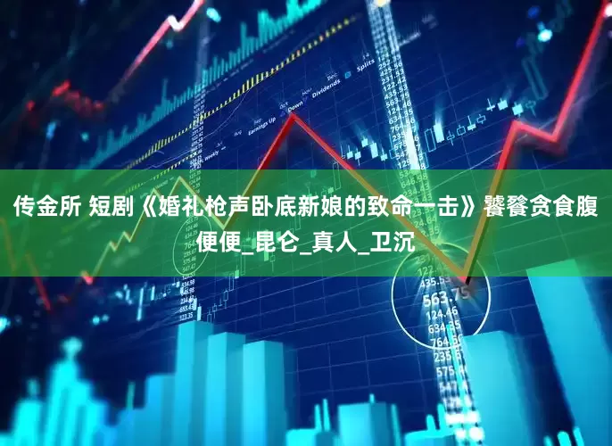 传金所 短剧《婚礼枪声卧底新娘的致命一击》饕餮贪食腹便便_昆仑_真人_卫沉