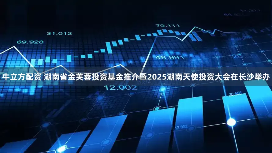 牛立方配资 湖南省金芙蓉投资基金推介暨2025湖南天使投资大会在长沙举办