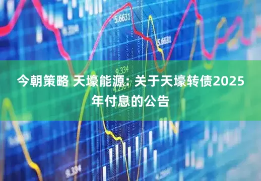 今朝策略 天壕能源: 关于天壕转债2025年付息的公告